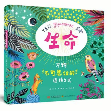 哪里能找到专业的篮球训练与发展计划_2